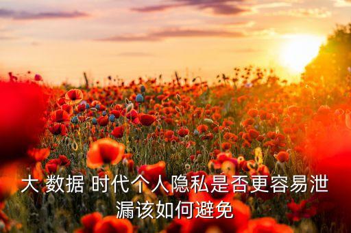 大 數(shù)據(jù) 時代個人隱私是否更容易泄漏該如何避免