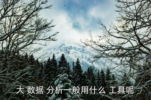 大 數(shù)據(jù) 分析一般用什么 工具呢