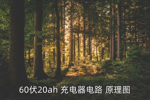 60伏20ah 充電器電路 原理圖