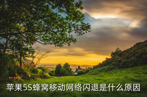 蘋果5S蜂窩移動(dòng)網(wǎng)絡(luò)閃退是什么原因