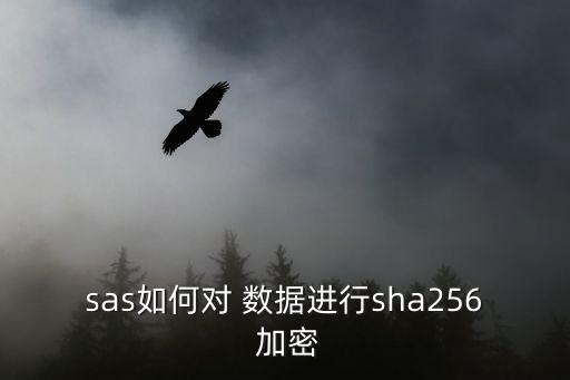數(shù)據(jù)存儲(chǔ) 加密,oracle數(shù)據(jù)存儲(chǔ)加密