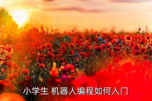 小學(xué)生 機(jī)器人編程如何入門(mén)