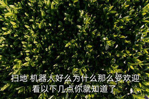  掃地 機(jī)器人好么為什么那么受歡迎看以下幾點(diǎn)你就知道了