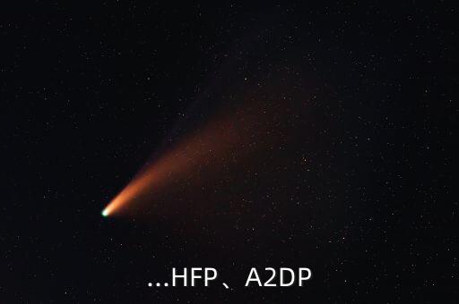 ...HFP、A2DP