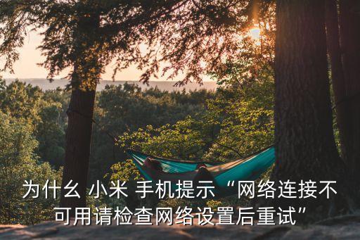 為什幺 小米 手機(jī)提示“網(wǎng)絡(luò)連接不可用請(qǐng)檢查網(wǎng)絡(luò)設(shè)置后重試”