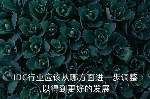  IDC行業(yè)應(yīng)該從哪方面進(jìn)一步調(diào)整,以得到更好的發(fā)展
