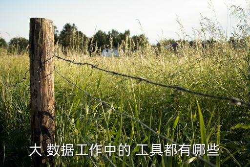 大 數(shù)據(jù)工作中的 工具都有哪些