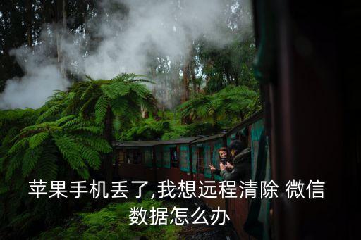 蘋(píng)果手機(jī)丟了,我想遠(yuǎn)程清除 微信 數(shù)據(jù)怎么辦