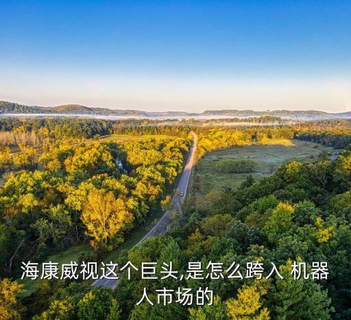 機(jī)器人營(yíng)銷模式圖,金字塔營(yíng)銷模式圖
