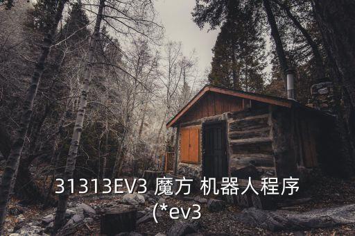 31313EV3 魔方 機器人程序(*ev3