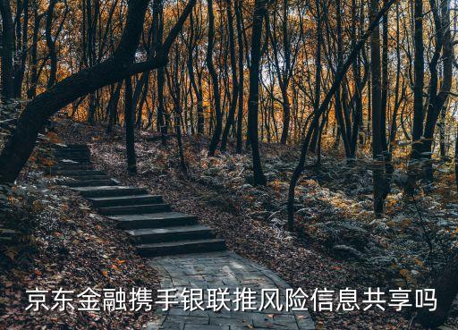  京東金融攜手銀聯(lián)推風(fēng)險(xiǎn)信息共享嗎