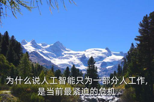 為什么說人工智能只為一部分人工作,是當(dāng)前最緊迫的危機(jī)