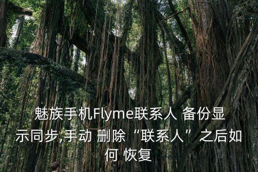  魅族手機Flyme聯(lián)系人 備份顯示同步,手動 刪除“聯(lián)系人”之后如何 恢復