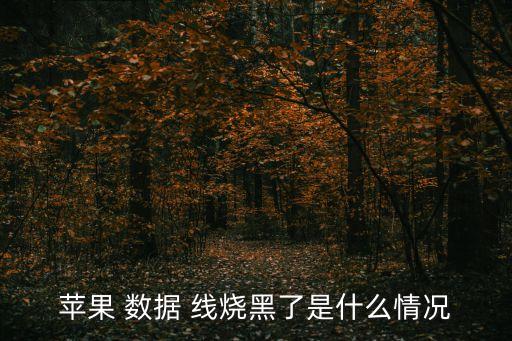 數(shù)據(jù)線燒了