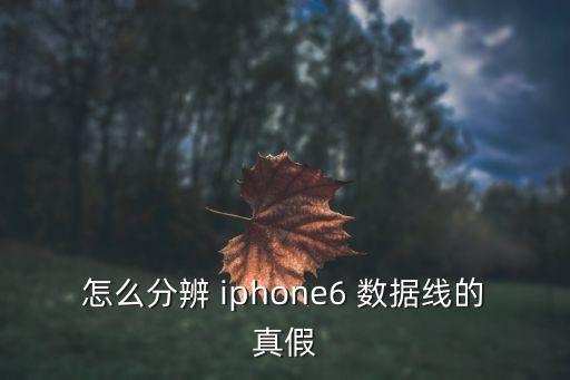 iphone6數(shù)據(jù)線原裝包裝盒,iPhone6包裝盒