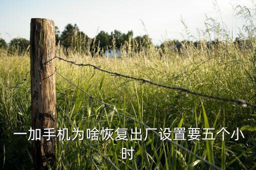 一加五怎么清除數(shù)據(jù)庫