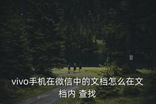 vivo手機(jī)在微信中的文檔怎么在文檔內(nèi) 查找