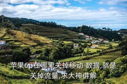 蘋果6p在哪里關掉移動 數(shù)據(jù),就是關掉流量,求大神講解