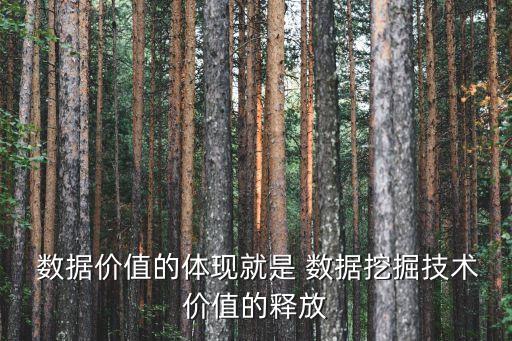  數(shù)據(jù)價值的體現(xiàn)就是 數(shù)據(jù)挖掘技術(shù)價值的釋放