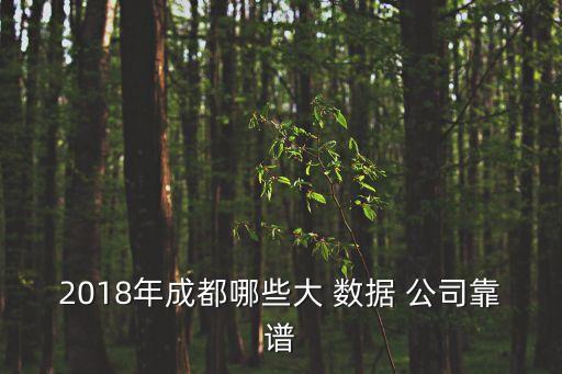 大數(shù)據(jù)人工智能公司排名,人工智能大數(shù)據(jù)學(xué)校排名