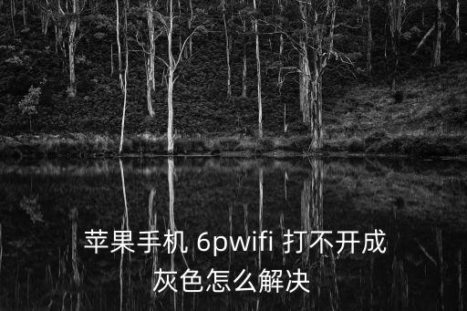蘋果6p蜂窩數(shù)據(jù)打不開,蘋果手機(jī)開了蜂窩數(shù)據(jù)還是沒網(wǎng)