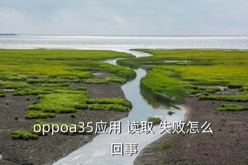 手機讀取數(shù)據(jù)失敗,手機應(yīng)用數(shù)據(jù)讀取失敗無法啟動應(yīng)用