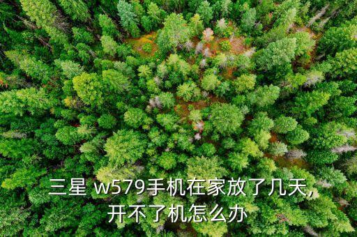 三星 sch w579 數(shù)據(jù)線和天宇