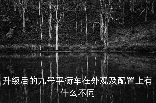 機(jī)器人9號(hào)設(shè)計(jì),設(shè)計(jì)機(jī)器人英語作文