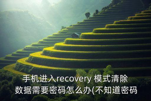 手機(jī)進(jìn)入recovery 模式清除 數(shù)據(jù)需要密碼怎么辦(不知道密碼