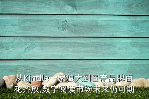 從Kindle一家獨(dú)大到國(guó)產(chǎn)品牌百花齊放,數(shù)字閱讀市場(chǎng)未來仍可期