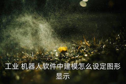 工業(yè) 機(jī)器人軟件中建模怎么設(shè)定圖形顯示