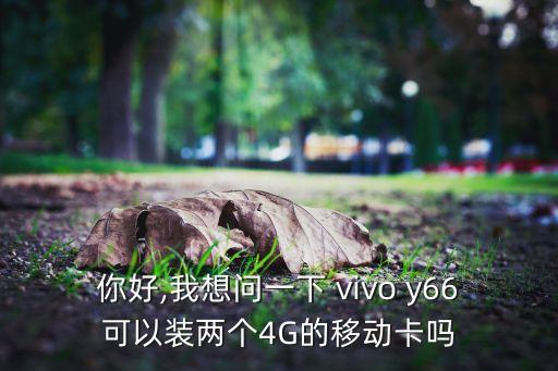 你好,我想問一下 vivo y66可以裝兩個4G的移動卡嗎