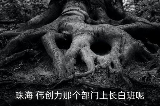 珠海 偉創(chuàng)力那個部門上長白班呢