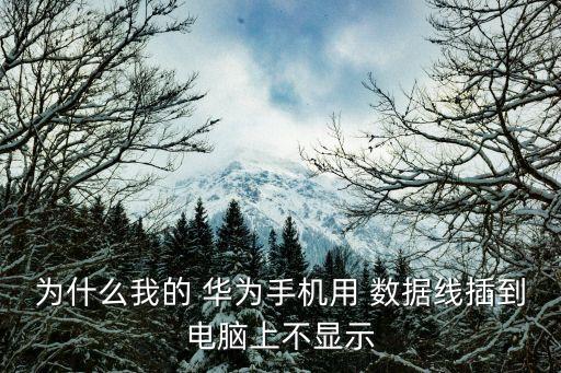 為什么我的 華為手機(jī)用 數(shù)據(jù)線(xiàn)插到電腦上不顯示
