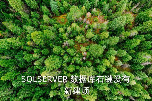 SQLSERVER 數(shù)據(jù)庫右鍵沒有 新建項