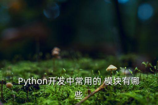 Python開(kāi)發(fā)中常用的 模塊有哪些