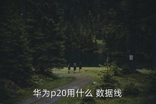 華為p20用什么 數(shù)據(jù)線