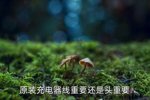 數(shù)據(jù)線 線頭