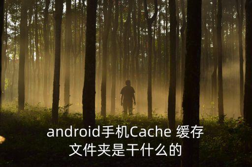 android手機Cache 緩存文件夾是干什么的