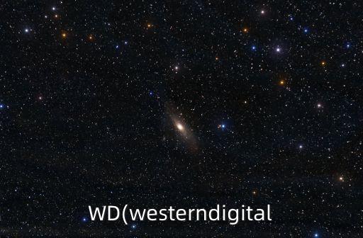 WD(westerndigital