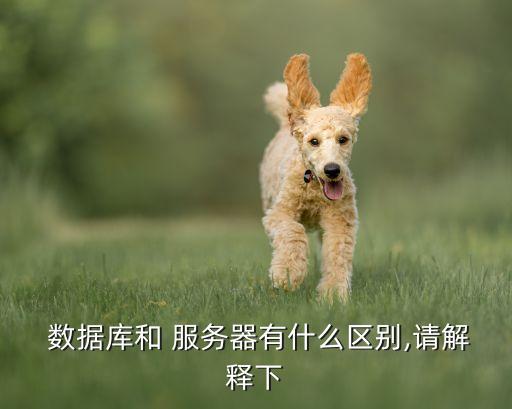  數(shù)據(jù)庫和 服務(wù)器有什么區(qū)別,請解釋下