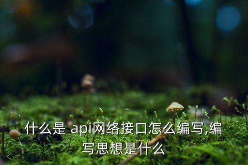什么是 api網(wǎng)絡接口怎么編寫,編寫思想是什么