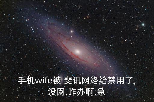 手機(jī)wife被 斐訊網(wǎng)絡(luò)給禁用了,沒網(wǎng),咋辦啊,急