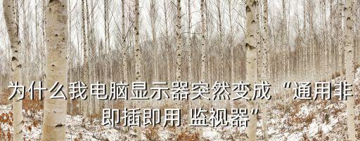 為什么我電腦顯示器突然變成“通用非即插即用 監(jiān)視器”