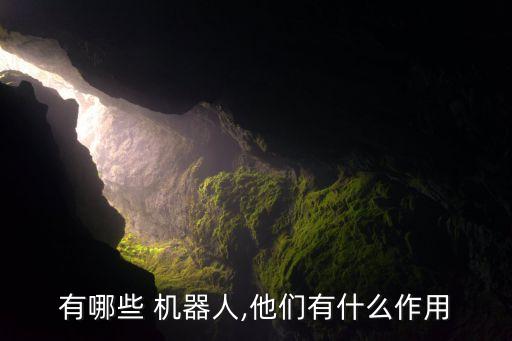 有哪些 機(jī)器人,他們有什么作用