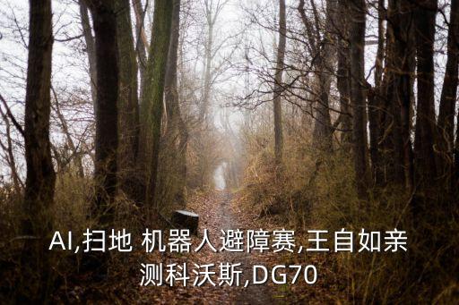 AI,掃地 機(jī)器人避障賽,王自如親測科沃斯,DG70