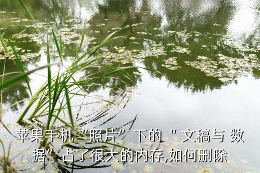 ios清理文稿與數(shù)據(jù)批量,app里的文稿與數(shù)據(jù)怎么清理