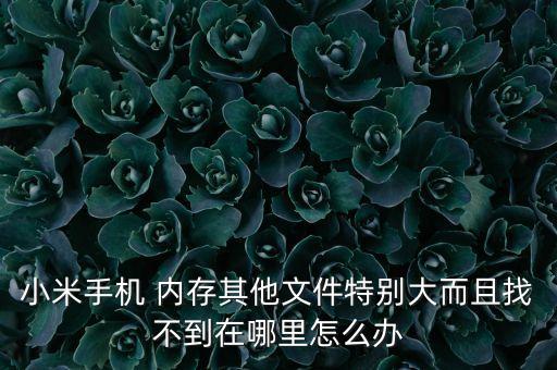 小米手機(jī) 內(nèi)存其他文件特別大而且找不到在哪里怎么辦