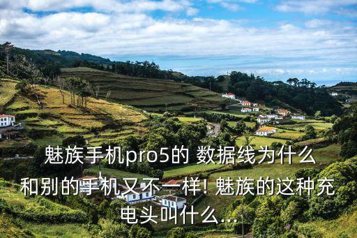 魅族充電器數(shù)據(jù)線,魅族17充電器多少w