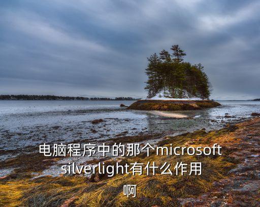 電腦程序中的那個microsoft silverlight有什么作用啊
